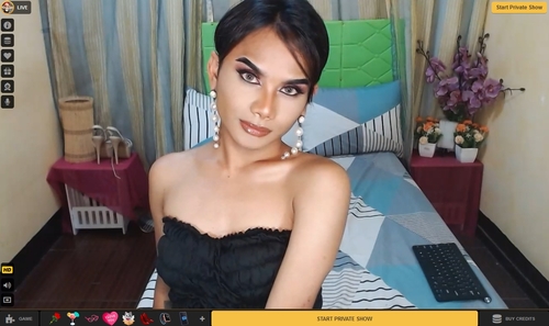 MyTrannyCams is trans only and premium too