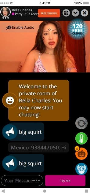 Flirt4Free has an easy to use mobile interface
