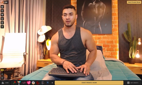Try CameraBoys when you look for muscular webcam models in fantastic c2c shows