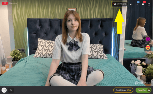 Stripchat is a freemium cam site that allows live webcam show recording