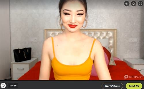The 6 Best Cam Sites For Cheap Private Asian Sex Chat Shows