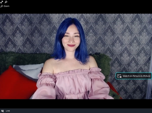 XloveCam allows it's members a video preview of their models