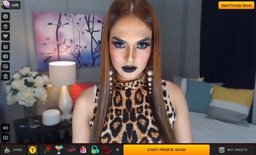 JOI live chats with stunning transgenders on LiveJasmin