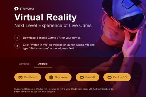 Stripchat is the only site where you can engage in VR chats