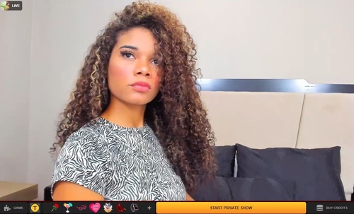 Top 5 Cam Sites to Engage in Thrilling Ebony Cam 2 Cam Chats