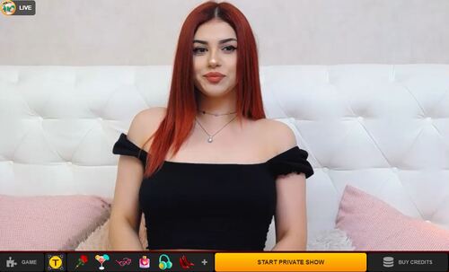 LiveJasmin check, train, and monitor models so you get superior shows every time