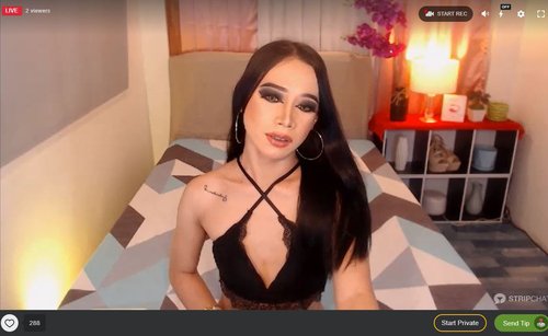 Stripchat hosts transgender models from around the world streaming free adult cam shows